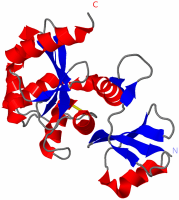 Image Asymmetric Unit