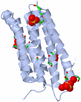 Image Biol. Unit 1 - sites