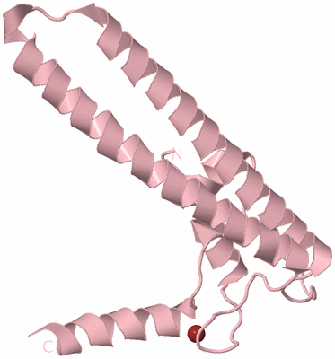 Image Biological Unit 3