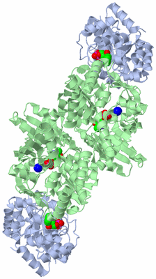 Image Biological Unit 1