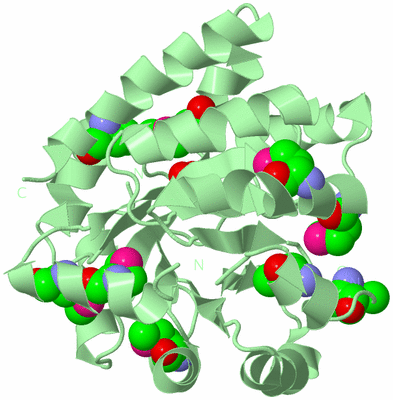 Image Biological Unit 2