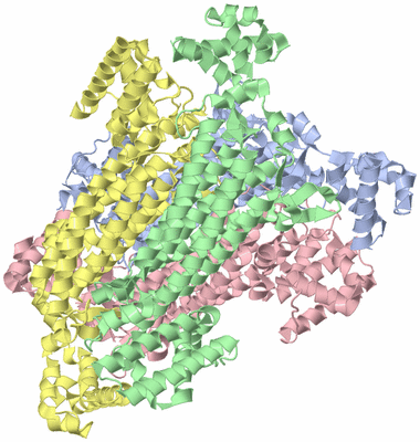 Image Asym./Biol. Unit