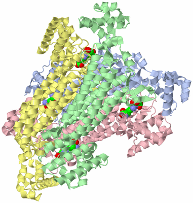 Image Asym./Biol. Unit