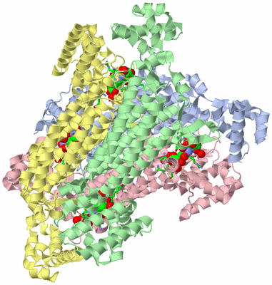 Image Asym./Biol. Unit - sites