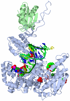 Image Asym./Biol. Unit