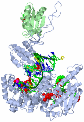 Image Asym./Biol. Unit - sites