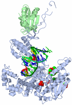 Image Asym./Biol. Unit