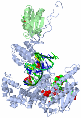 Image Asym./Biol. Unit - sites