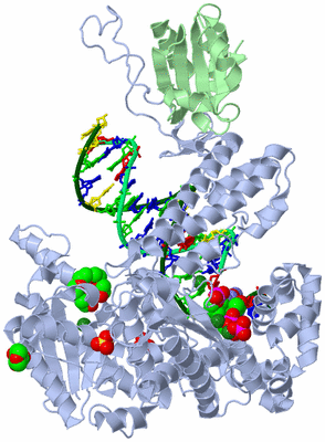 Image Asym./Biol. Unit