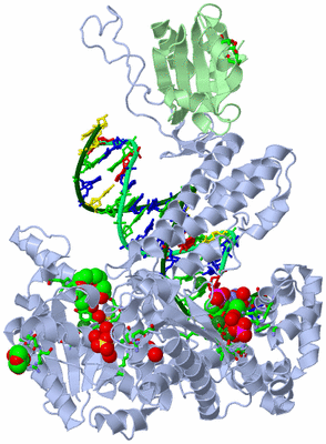 Image Asym./Biol. Unit - sites