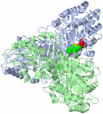 Image Asym./Biol. Unit