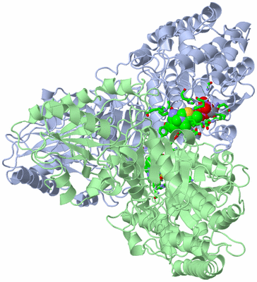 Image Asym./Biol. Unit - sites