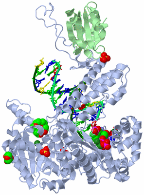 Image Asym./Biol. Unit