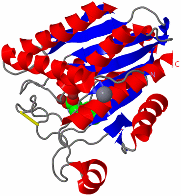 Image Asym./Biol. Unit