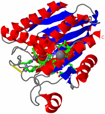 Image Asym./Biol. Unit - sites
