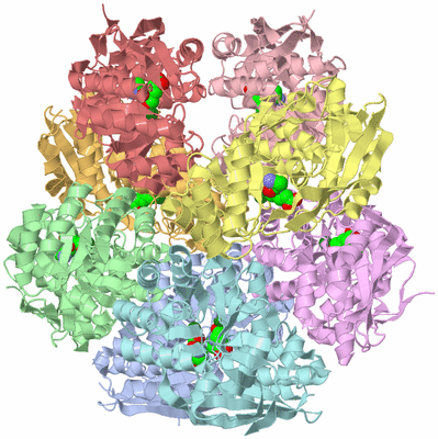 Image Asym./Biol. Unit