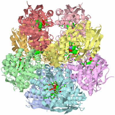 Image Asym./Biol. Unit - sites