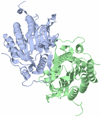 Image Asym./Biol. Unit