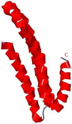 Image NMR Structure - model 1