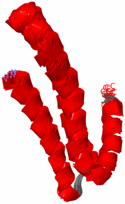 Image NMR Structure - all models