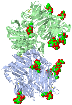 Image Asym./Biol. Unit