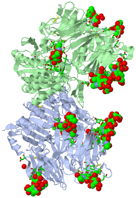 Image Asym./Biol. Unit - sites