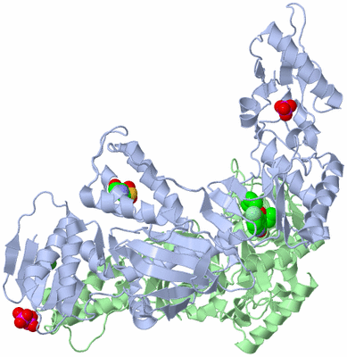 Image Asym./Biol. Unit