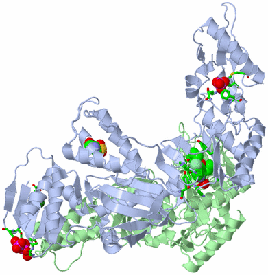 Image Asym./Biol. Unit - sites