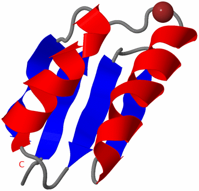 Image NMR Structure - model 1