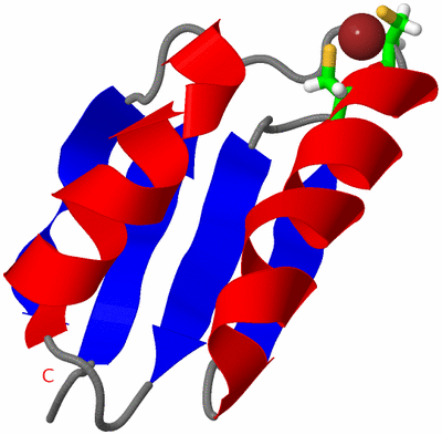 Image NMR Structure - model 1, sites