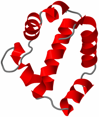 Image NMR Structure - model 1