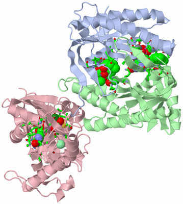 Image Asym./Biol. Unit - sites