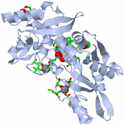 Image Asym./Biol. Unit - sites