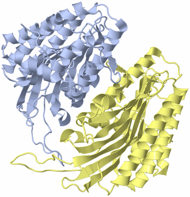 Image Biological Unit 1