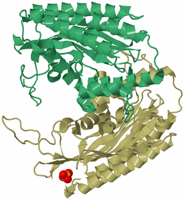 Image Biological Unit 2