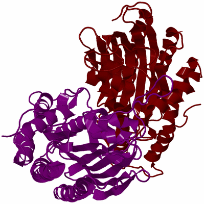 Image Biological Unit 3