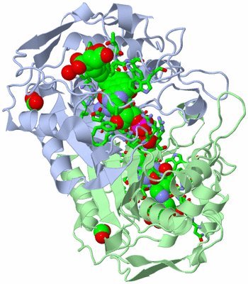 Image Asym./Biol. Unit - sites