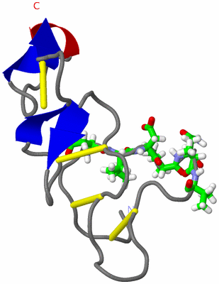 Image NMR Structure - model 1, sites