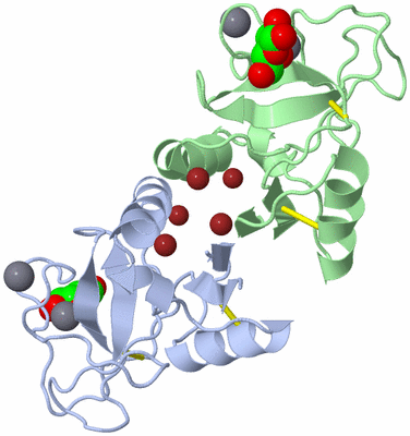 Image Biological Unit 1