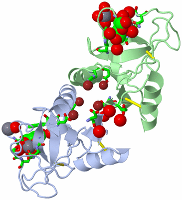 Image Biol. Unit 1 - sites