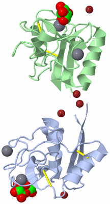 Image Biological Unit 2