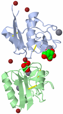 Image Biological Unit 3