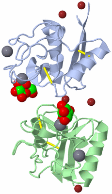 Image Biological Unit 4