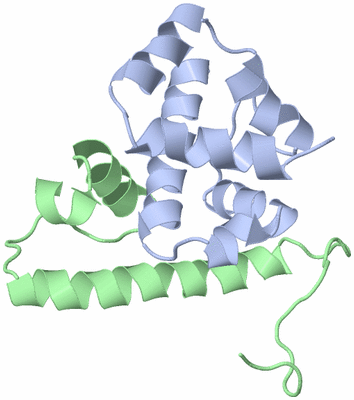 Image NMR Structure - model 1