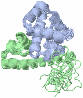 Image NMR Structure - all models