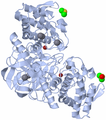 Image Biological Unit 1