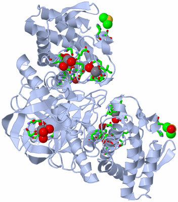 Image Biol. Unit 1 - sites