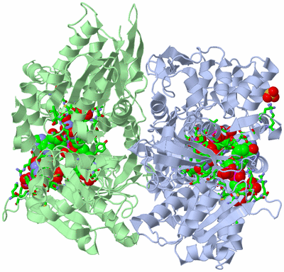 Image Asym./Biol. Unit - sites