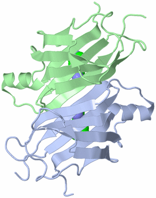 Image Asymmetric Unit