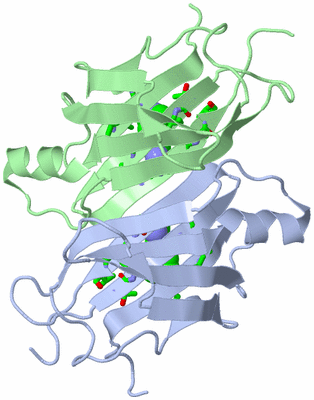 Image Asym. Unit - sites